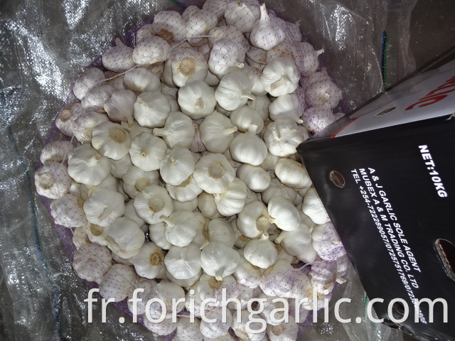 Good Quality Pure Garlic